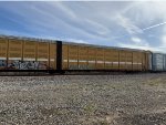 BTTX 880067